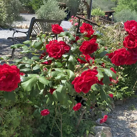 Гостевой дом Ai Cinque Campanili Финале Лигуре