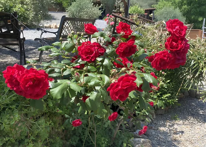 Pensionat Ai Cinque Campanili Finale Ligure