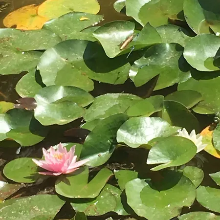 Ai Cinque Campanili Gasthof Finale Ligure